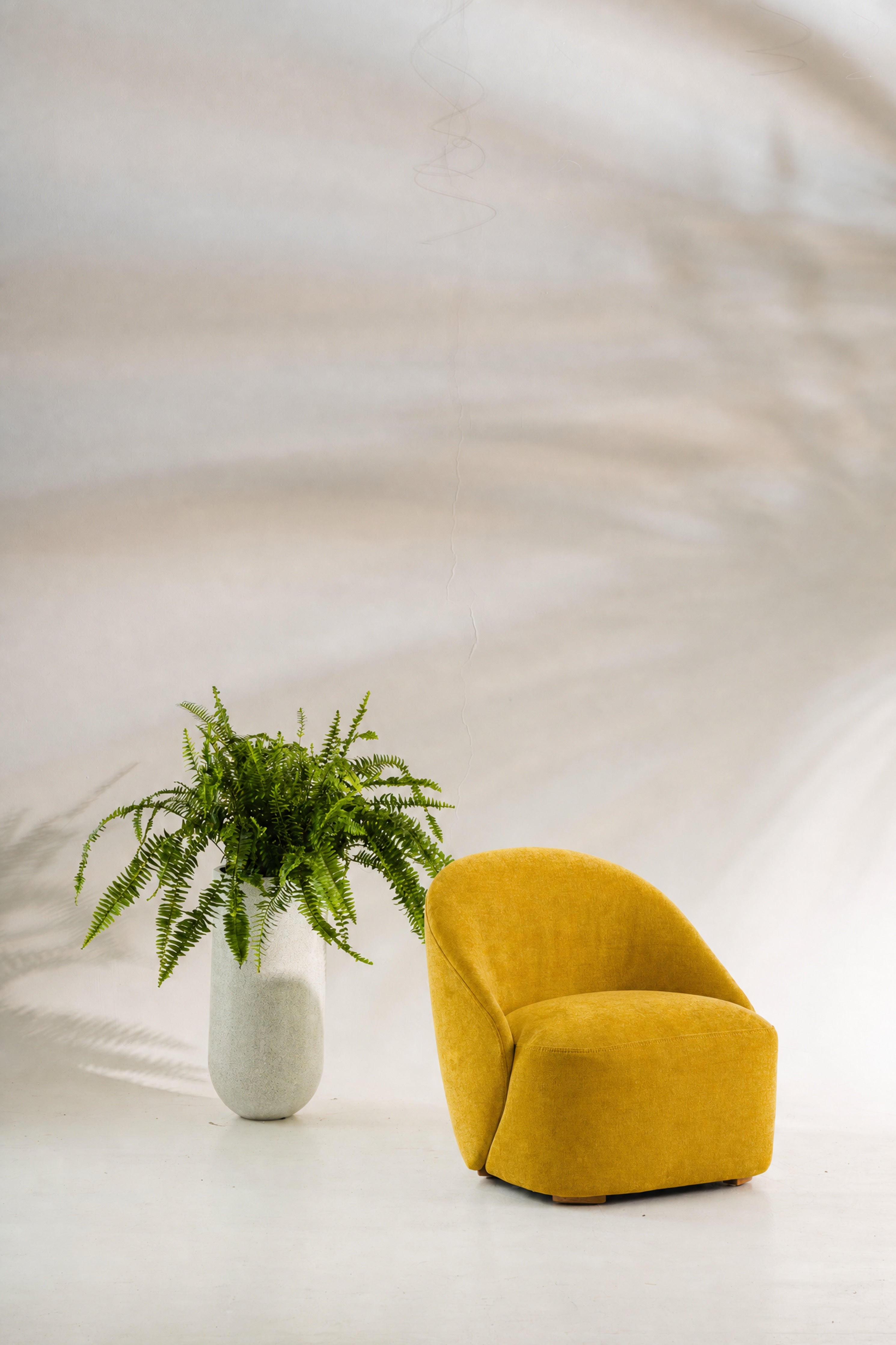 BUTACA MAGNOLIA · Mostaza · 3