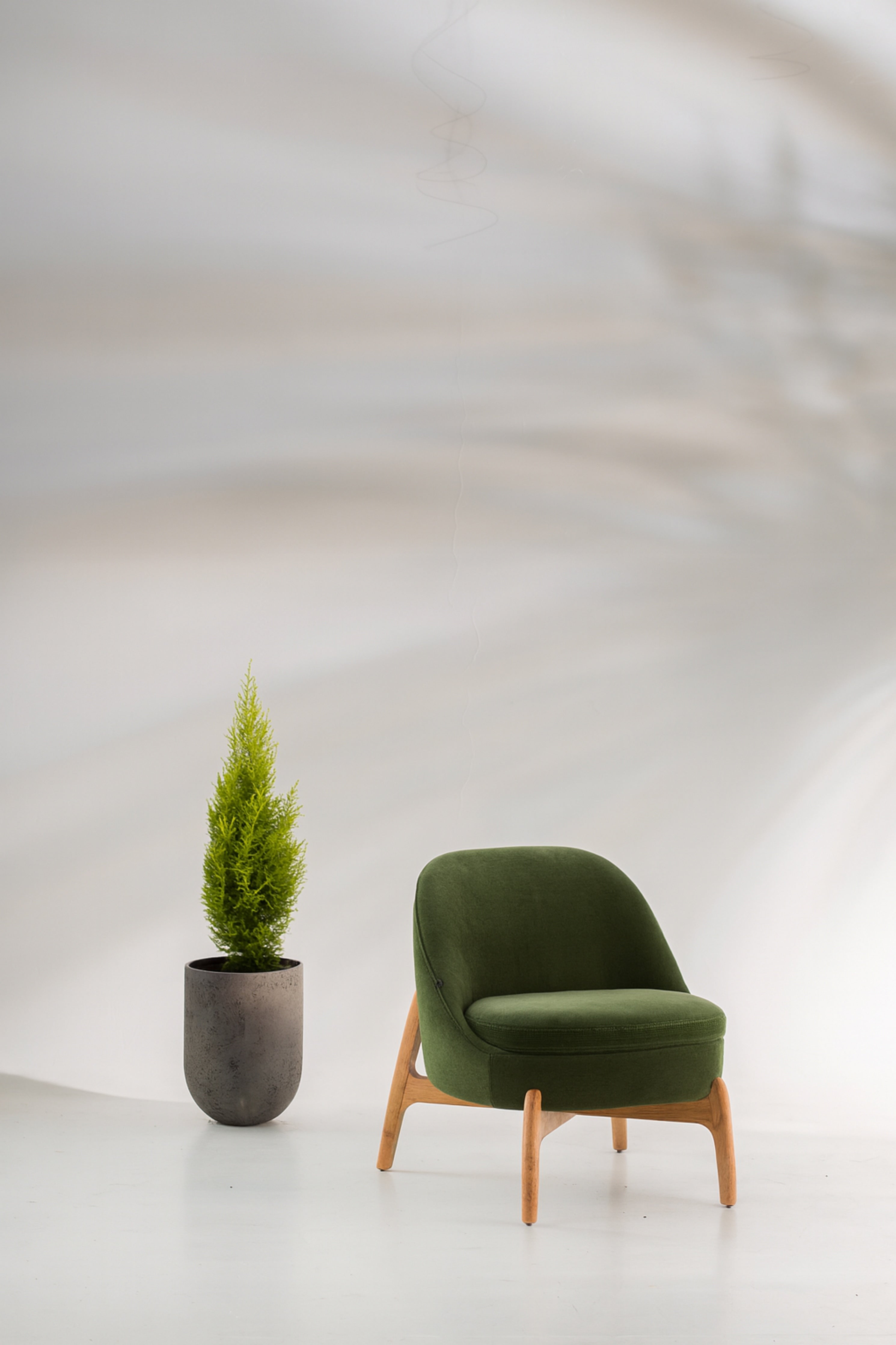 BUTACA SAMAN · Olivo · 1
